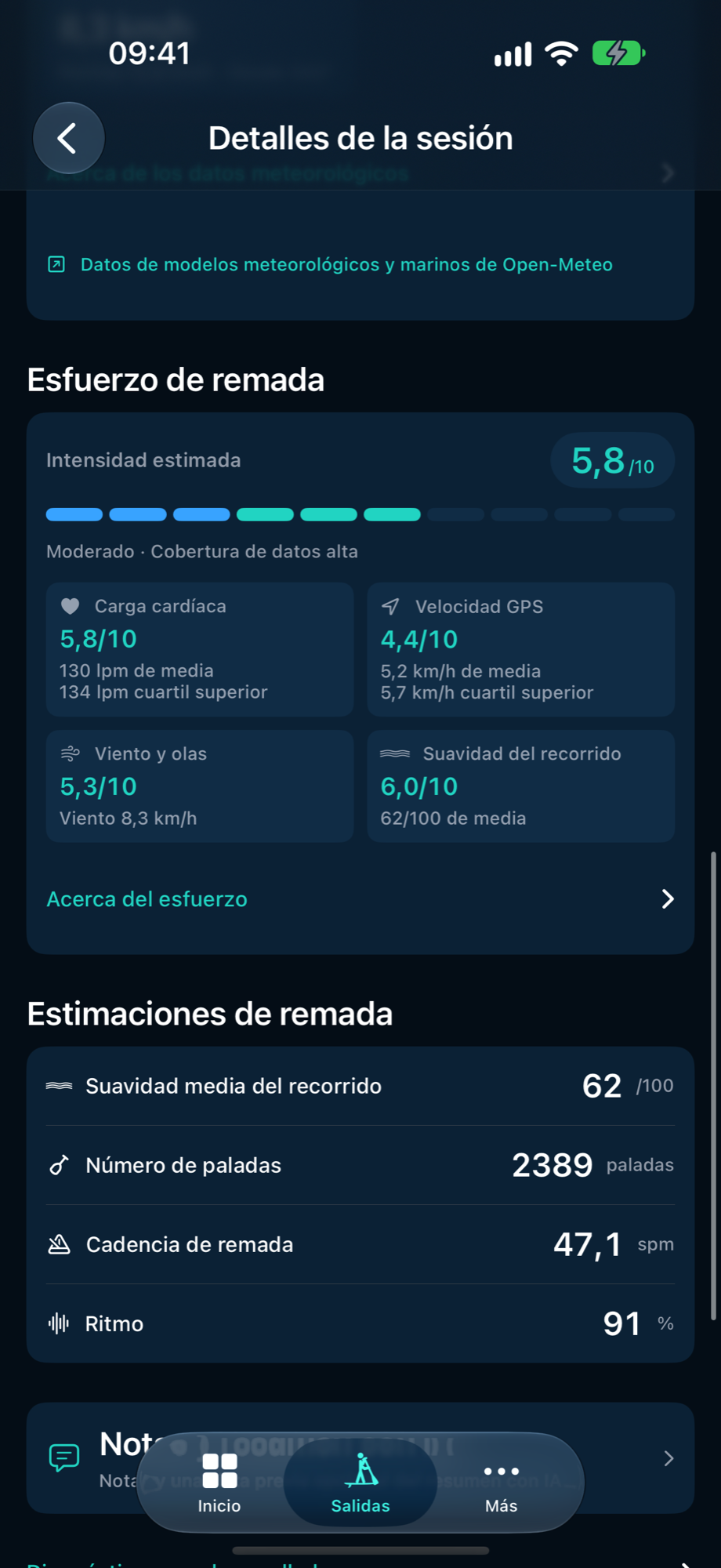 Estimaciones de PaddleForm con suavidad del recorrido, paladas, cadencia de remada y ritmo de la salida de demostración.